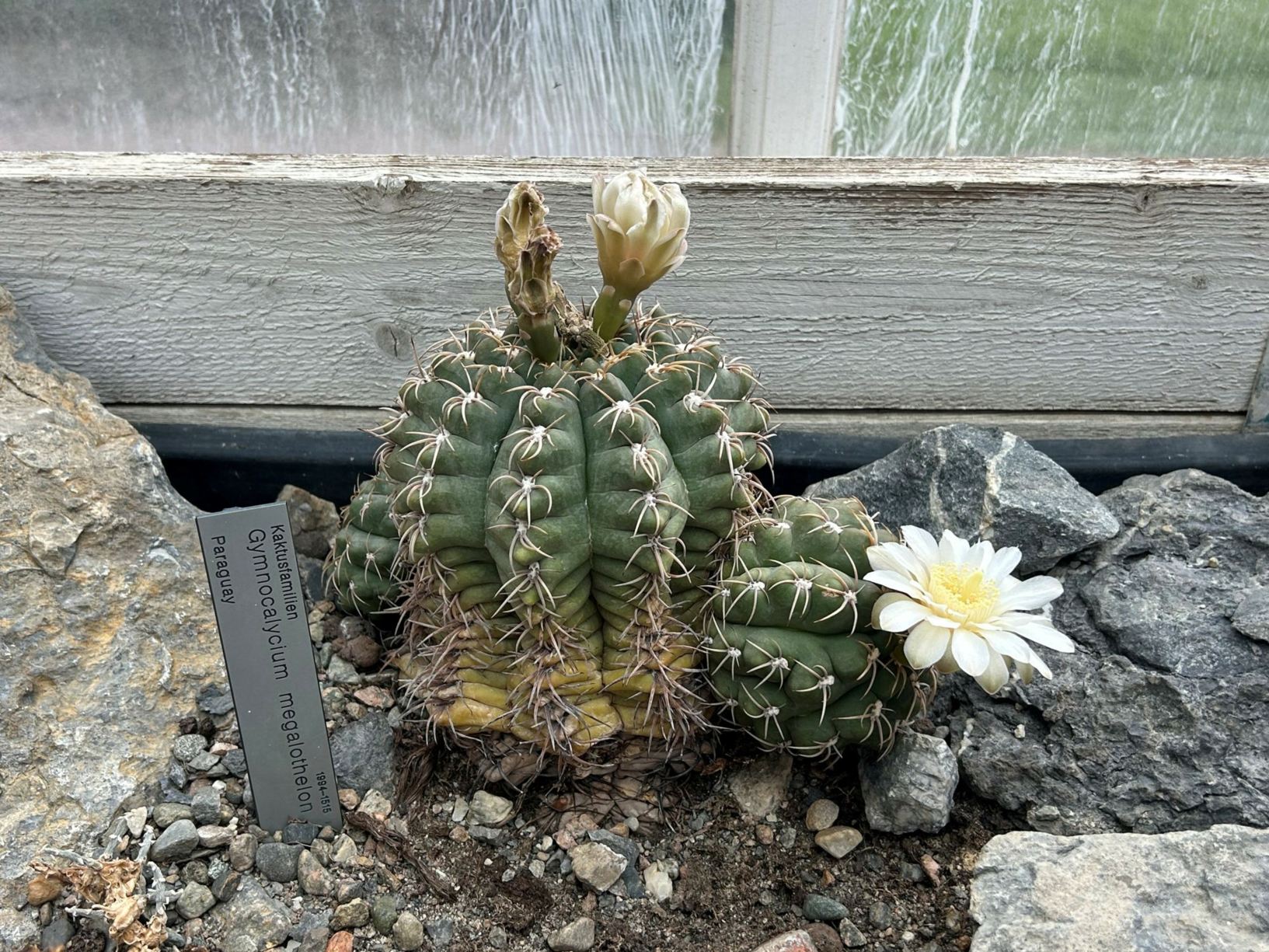 Botanical Garden - Natural History Museum, University of Oslo, Norway